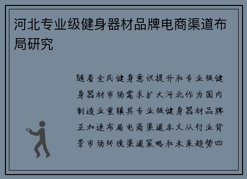 河北专业级健身器材品牌电商渠道布局研究